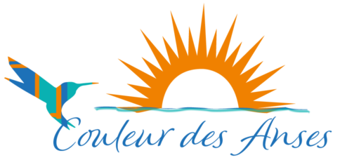 logothype_site_couleurdesanses